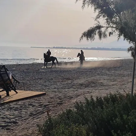 Ferienhaus Mare *